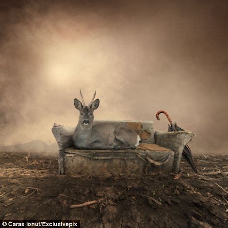 Surreal Images Created By Romanian Photoshop Artist Caras Ionut