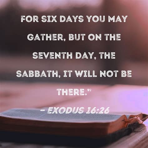 Exodus 1626 For Six Days You May Gather But On The Seventh Day The