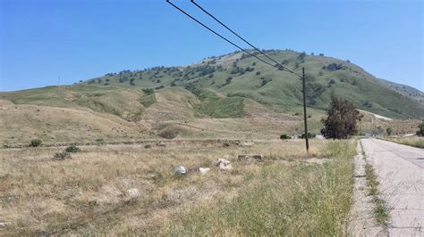 Original Grapevine town site. | Grape vines, Valley california, California