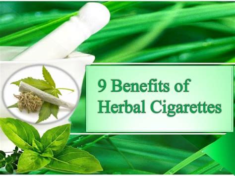 Ppt 9 Benefits Of Herbal Cigarettes Powerpoint Presentation Free