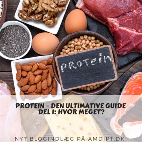 Protein Den Ultimative Guide Del 1 Hvor Meget Christian Amdi