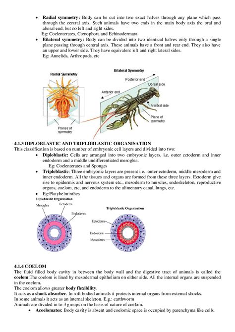 Download Cbse Class 11 Biology Revision Notes For Animal