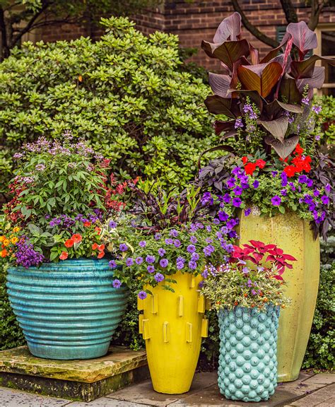 Container Gardens Just Right For The Midwest Midwest Living