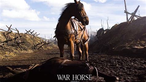 Movie War Horse Hd Wallpaper