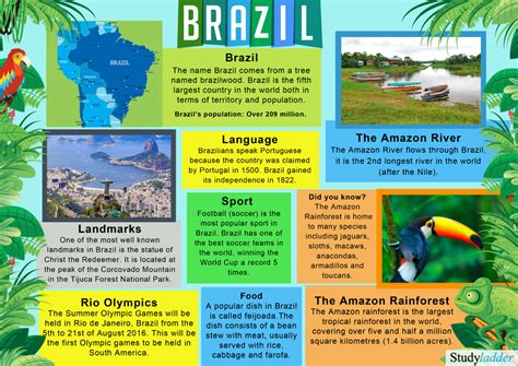 Brazil Fact Sheet Studyladder Interactive Learning Games