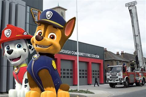 How Teesside Firefighters Give Paw Patrol A Run For Their Money With