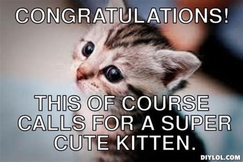 Pinned From Pin It For Iphone Super Cute Kittens Kittens Cutest Cute