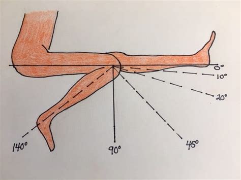 Range Of Motion For Knee