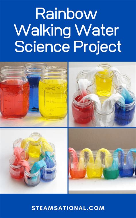 Easy And Fun Walking Rainbow Science Experiment Rainbow Experiment