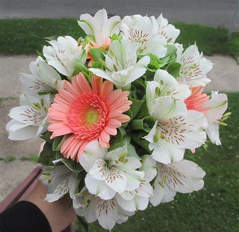 Bigotters gerbera daisy,14 pcs artificial flowers silk flowers bouquets, bride bridesmaid holding flowers for wedding bouquet,home garden party wedding. Peach Gerbera Daisy and White Alstroemeria Bouquet | Diy ...