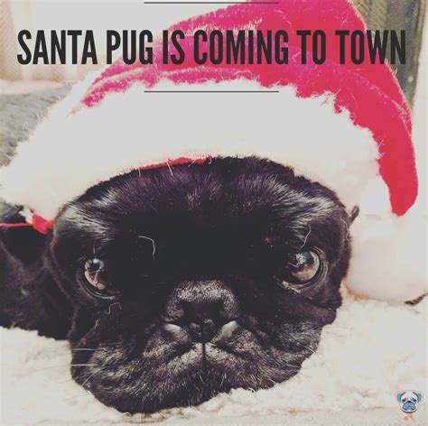 You better watch out You better not cry Better not pout I'm telling you why SANTA PUG is coming 