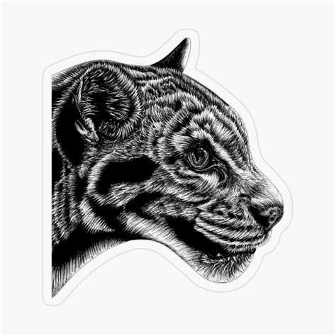 Clouded Leopard Sticker By Loren Dowding Leopard Art Print Leopard