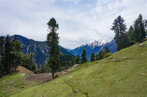 Aru Valley Pahalgam All You Need To Know Before You Go