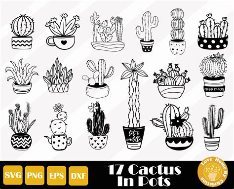 Cute Cactus Svg Cactus Clipart Gardening Svg Succulent Etsy
