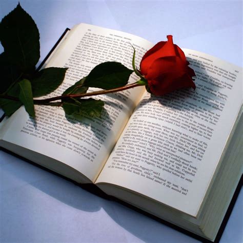 Beautiful Red Rose Book Flowers Roses Book Beautiful Flowers Wallpapers
