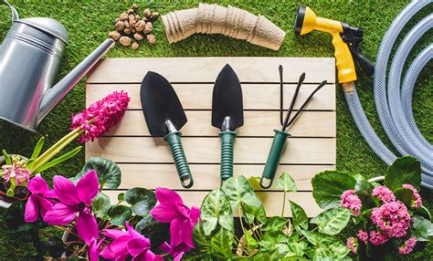 Come Creare Il Perfetto Kit Da Giardinaggio Leitv