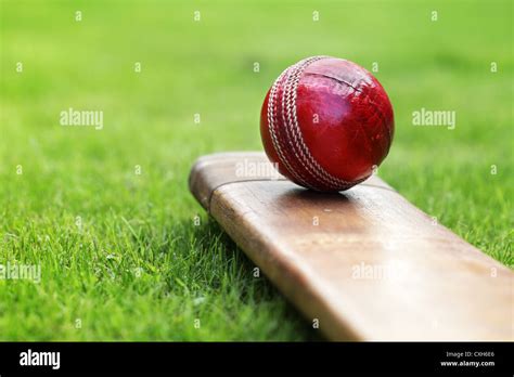 Cricket Bat And Ball Stock Photo Alamy