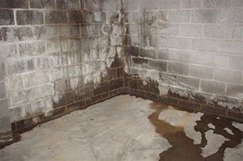 3 Sneaky Signs You Have Basement Moisture Problems In Your Home