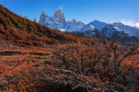 Beautiful Autumn View Of Fitz Roy Mountain Patagonia Argentina Stock