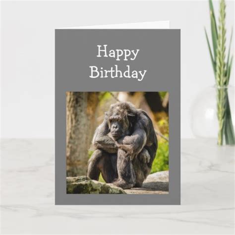 Fun Birthday Young Once Depressed Gorilla Animal Card