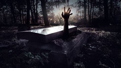 This Theme Park Will Pay You €250 To Spend 30 Hours In A Coffin The