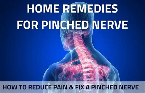 Home Treatment For Pinched Nerve In Neck And Shoulder Bios Pics