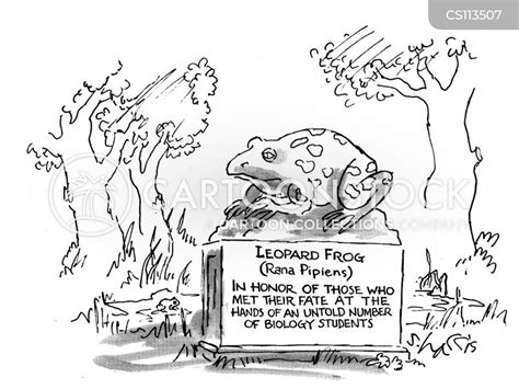 Biology Classes Cartoons And Comics Funny Pictures From Cartoonstock