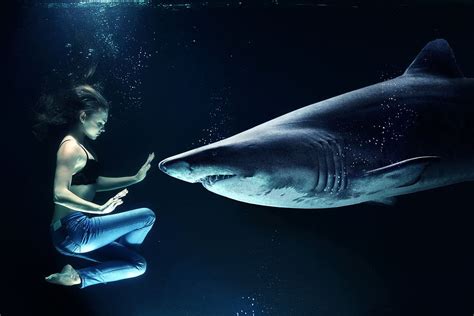 Edited Underwater Woman Wearing Blue Jeans Water Shark Hai Great White Shark Sea Pxfuel
