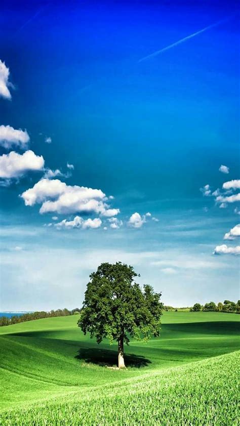 234 Hd Wallpaper Green Scenery Images And Pictures Myweb