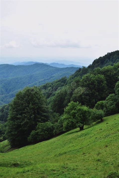 Mountain Landscape With Green Meadows And Trees In A Beautiful Spring