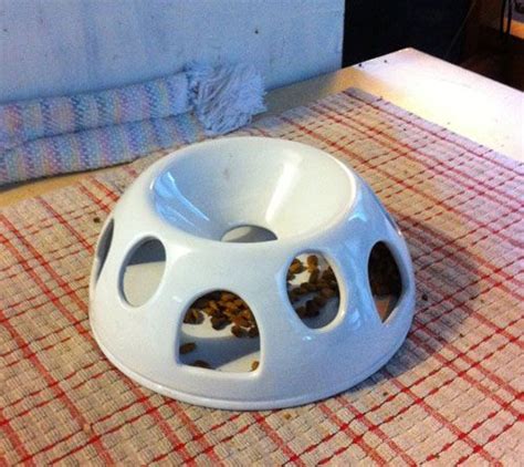 Need some new ideas for keeping your cat busy? Caturday: Puzzle feeders | Cat puzzle feeder, Cat puzzle ...