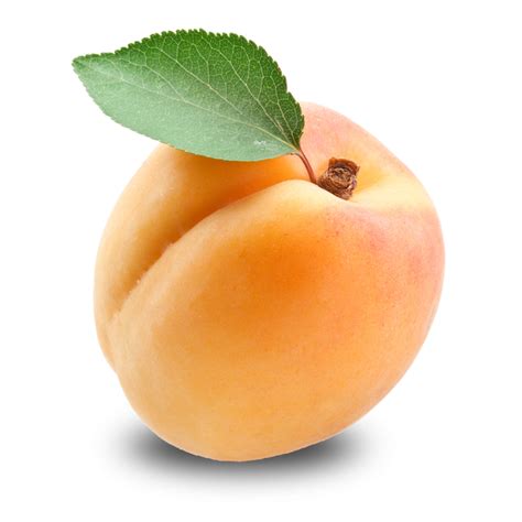 Apricot Free Download Png Png All Png All