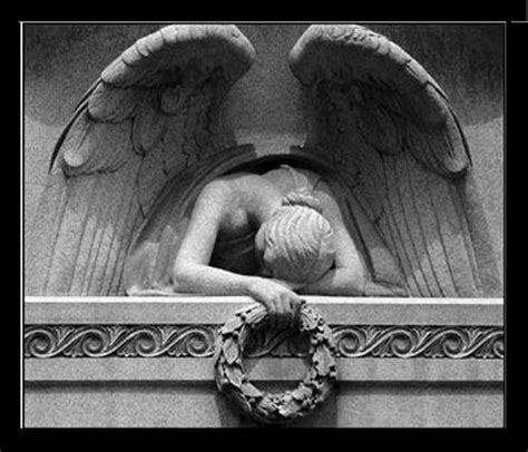 Stone Angel Crying Angel Gothic Angel Angel Statues