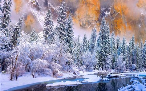 Winter Yosemite National Park River Cold Snow Forest White Trees Ice Nature Landscape Wallpaper
