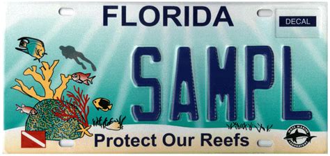 Buy Florida Specialty License Plates Broward Tag And Title Tag
