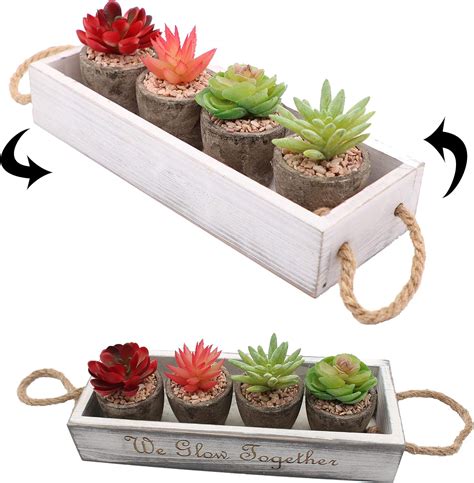 Forgottenitem Artificial Mini Faux Succulent Cactus Cacti