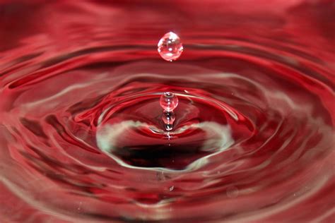 Drop Liquid Wet Red Symbol Splash Drip Image Free Photo