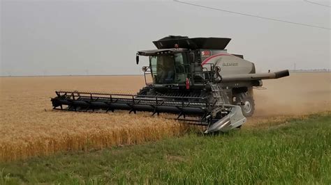 Gleaner S98 Spring Wheat Harvest 2021 Youtube