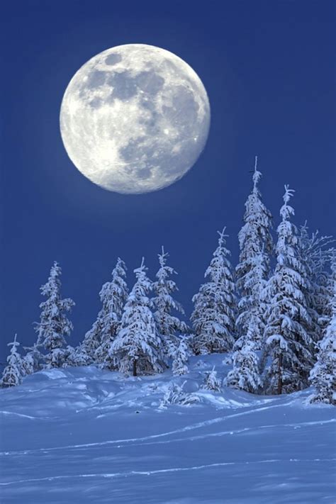 Winter Moon Пейзажи Живописные пейзажи Зимние картинки