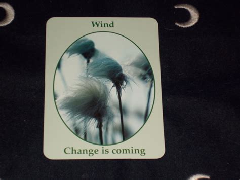 Message For 1 15 19 Nature Speak Wind Change Is Coming Turn To People