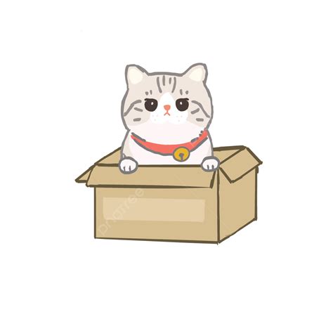 Cat On The Box Kucing Imut Kucing Imut Cat Cute Kitty Png