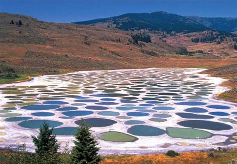 Spotted Lake Canada Beautiful Places Canada Travel Places To See