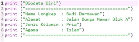 Elektronika & Ilmu Komputer: Kode Program Biodata Diri Menggunakan Python