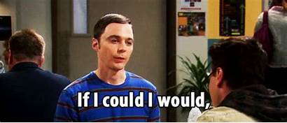 Bang Theory Would Could Sheldon Gifrific