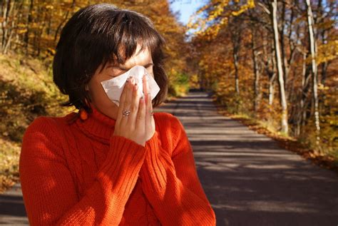 A Month-By-Month Guide To Seasonal Allergies | Seasonal allergies, Allergies, Facts