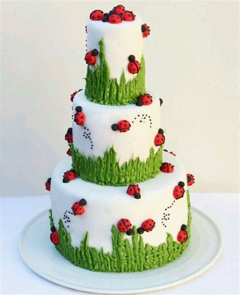 Over 30 Awesome Cake Ideas Ladybug Cake Ladybug Cakes Amazing Cakes