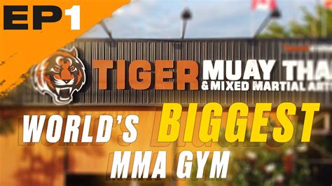 world s biggest mma gym tiger muay thai ep 1 first day in phuket youtube