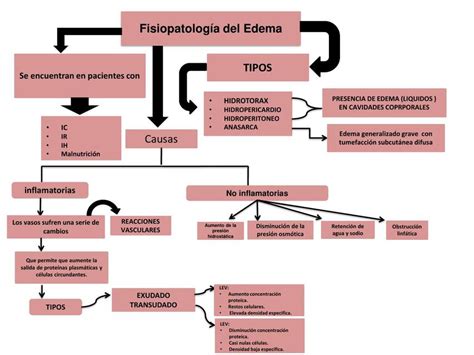 Edema Fisiopatología Jose Enrique Sanchez Hurtado Udocz