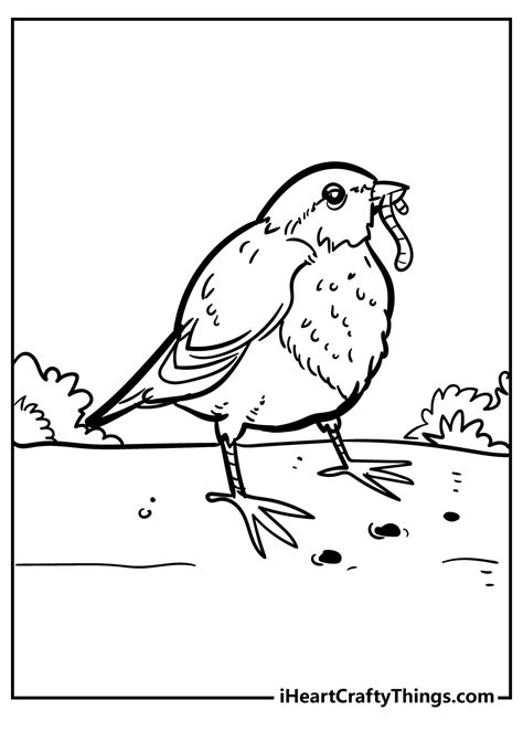Red Robin Bird Coloring Page