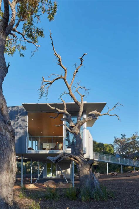 Wilderness House A Modern House With Large Area Of Glass And Modernist